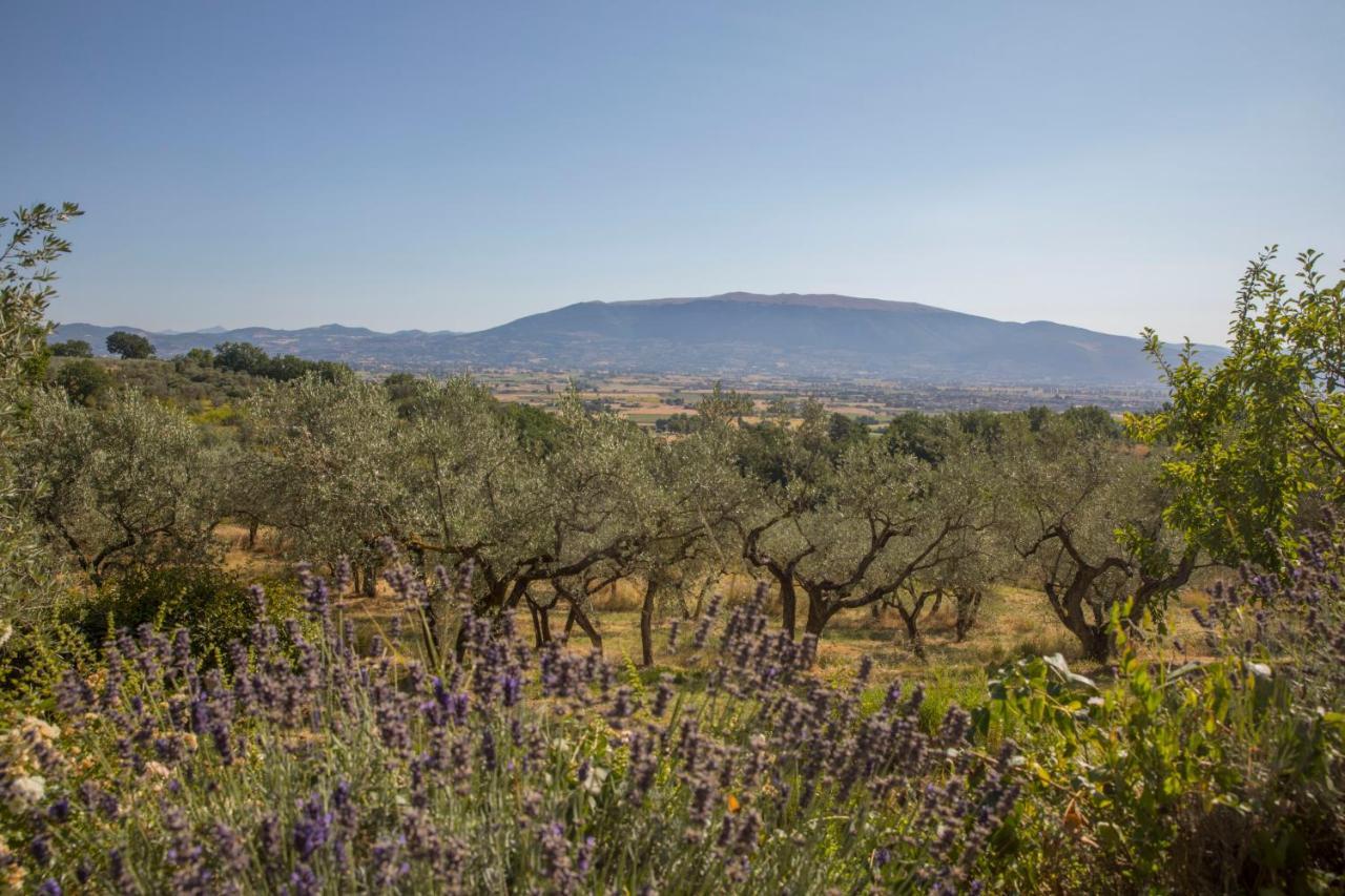 Villa Colle Di Rocco Limigiano المظهر الخارجي الصورة