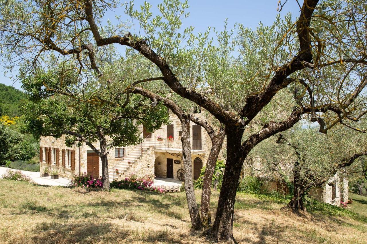 Villa Colle Di Rocco Limigiano المظهر الخارجي الصورة
