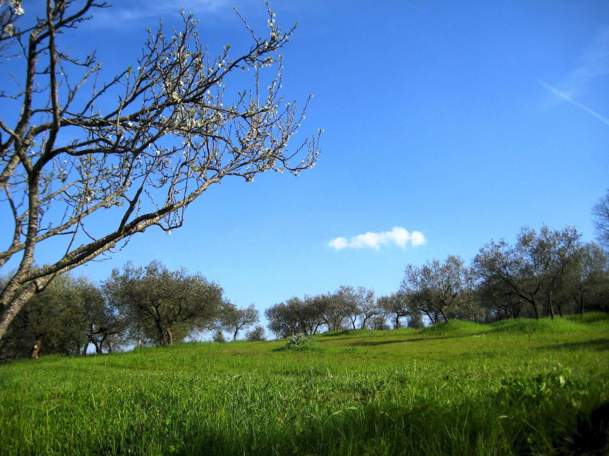 Villa Colle Di Rocco Limigiano المظهر الخارجي الصورة